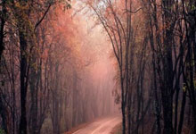 多多28官网：西媒：特尔施特根想尽快复出踢欧冠决赛，但他的.