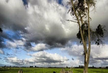 多多28官网：东契奇21+9+14里夫斯30+7+6 湖人轻取马刺两连胜.