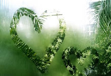 多多28官网：中国选手张之臻无缘澳网男双8强央视新闻客户端.